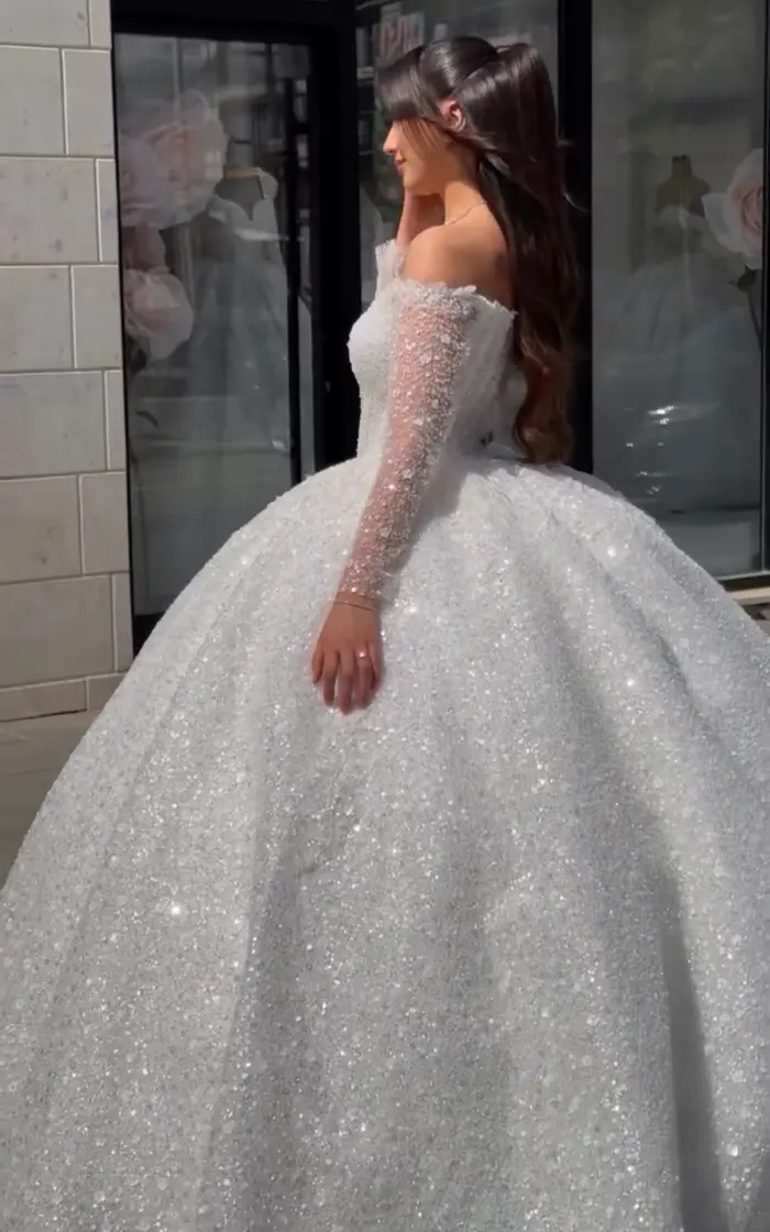 Robe de mariée de luxe en organza avec col en V et train de la cour pour femmes occasions spéciales et mariages