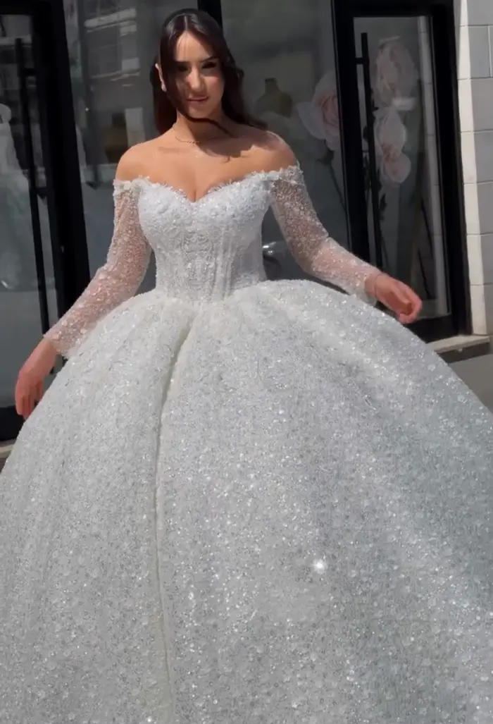Robe de mariée de luxe en organza avec col en V et train de la cour pour femmes occasions spéciales et mariages