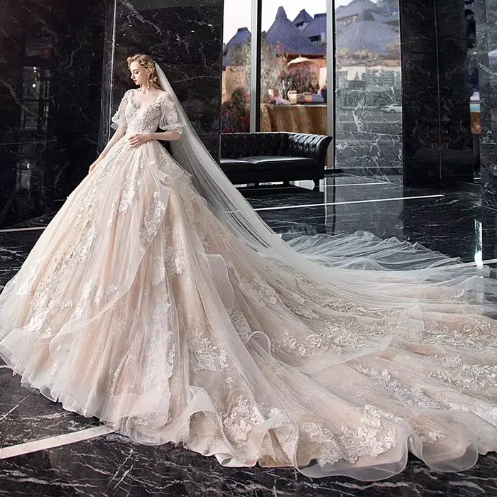 Robe de mariée Super Féerique col en V longue queue personnalisable pour femmes grandes occasions spéciales