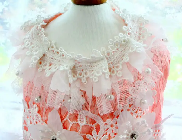 Robe de mariée rose pour chien faite à la main avec jupe brodée de fleurs 3D