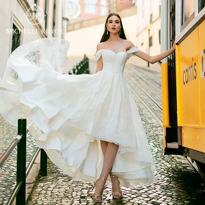 Michelle Royce-Robes de mariée A-Line pour femmes, Dentelle à lacets, Éducatif, Off the Initiated Fi