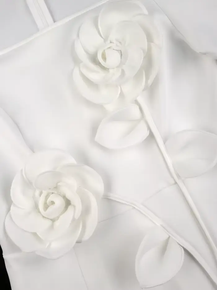 Robes de soirée blanches pour dames