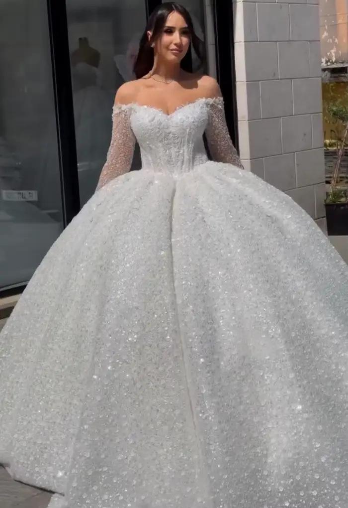 Robe de mariée de luxe en organza avec col en V et train de la cour pour femmes occasions spéciales et mariages