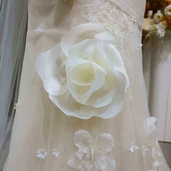 Robes de mariée élégantes Sheer Fairy pour femmes