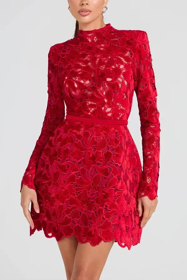 Mini robe en dentelle ajourée pour femmes, couleur unie, col rond, manches longues, taille haute, Sl