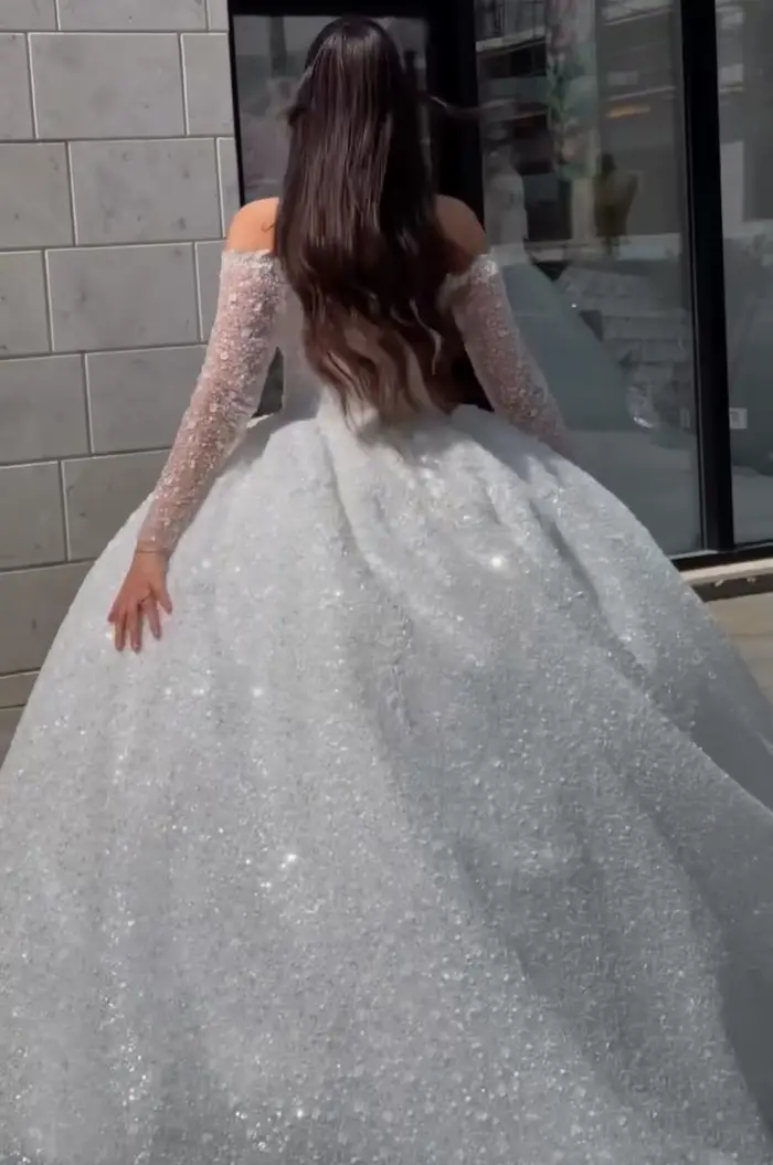 Robe de mariée de luxe en organza avec col en V et train de la cour pour femmes occasions spéciales et mariages